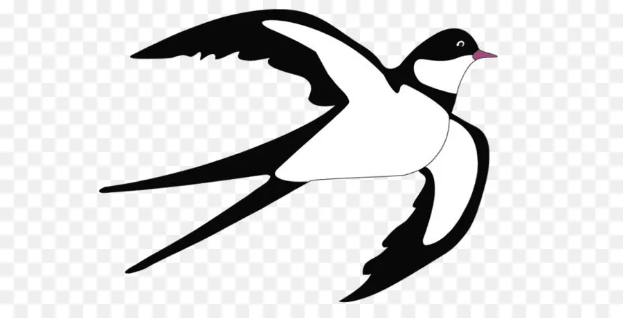 Menelan，Burung PNG