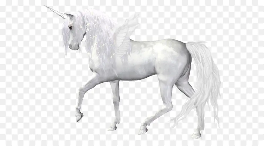 Hitam Unicorn，Kuda PNG