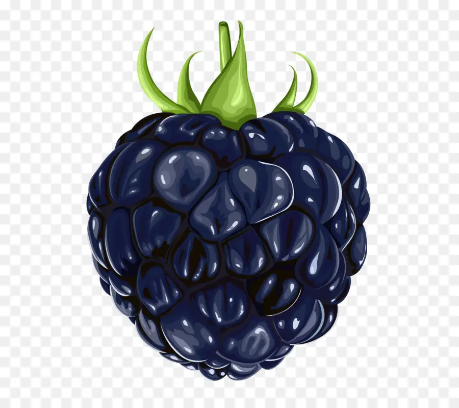 Blackberry，Buah PNG