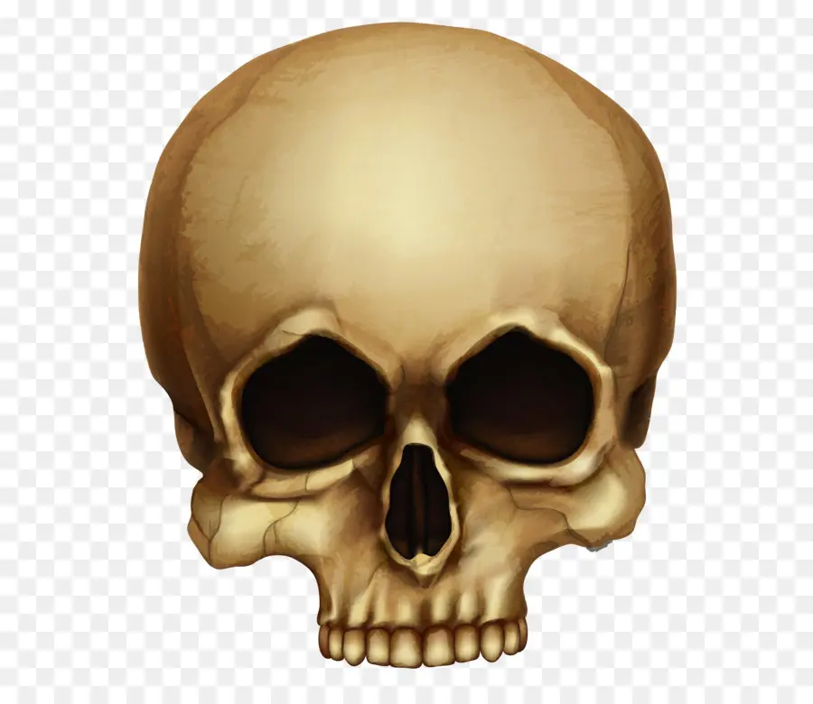 Tengkorak，Halloween PNG