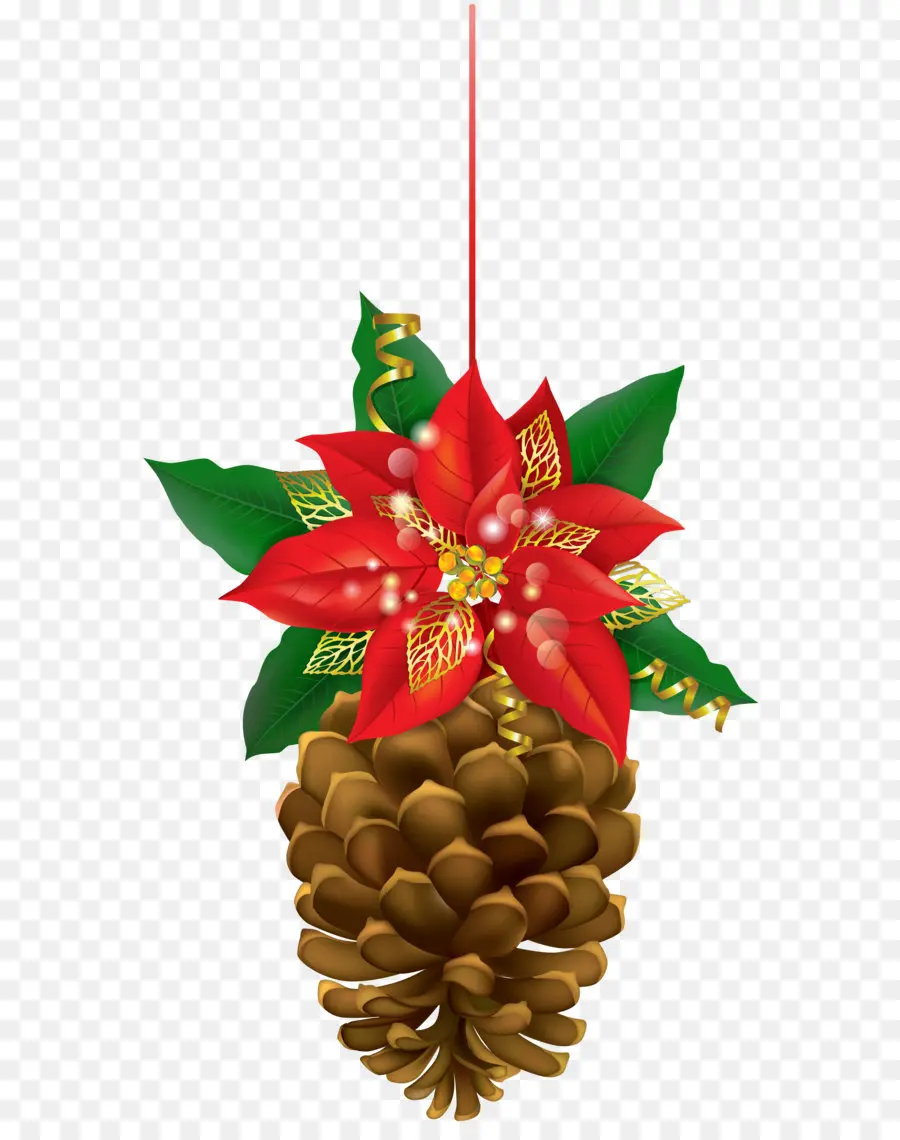 Biji Pinus Dengan Holly，Biji Pinus PNG