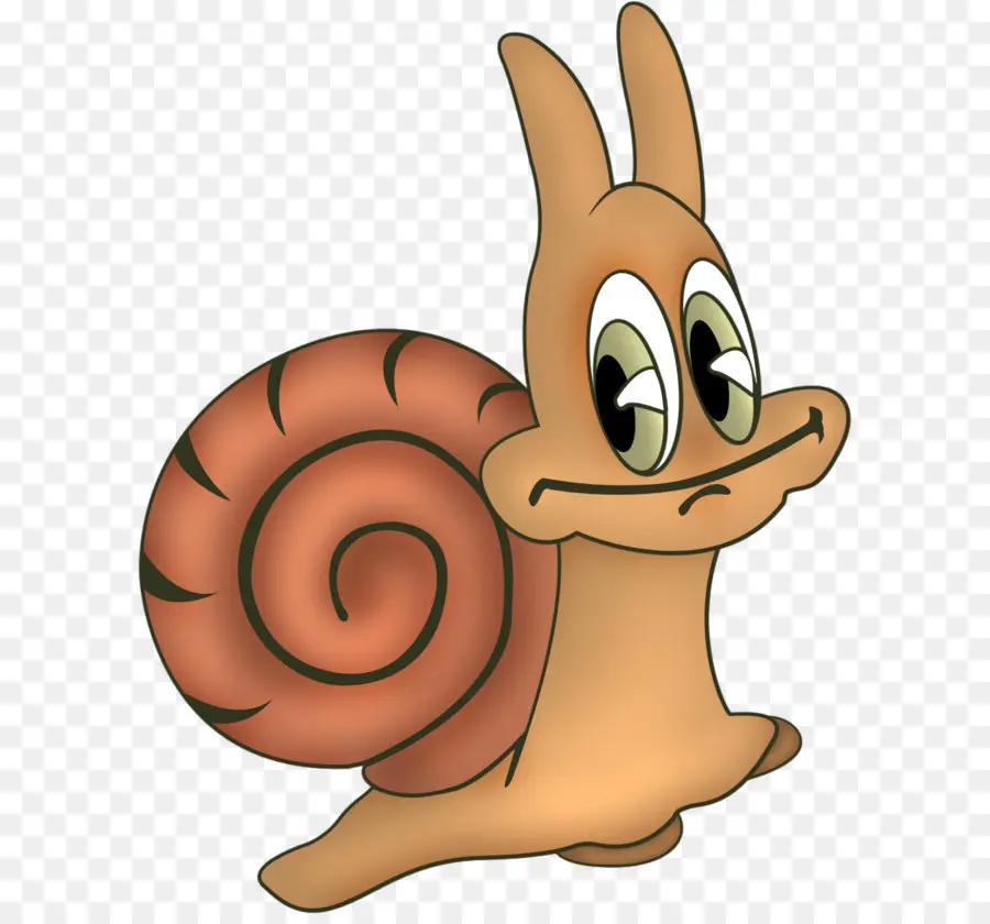 Siput，Gastropoda PNG