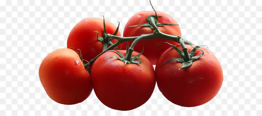 Cherry Tomat，Biru Tomat PNG