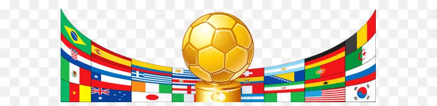 Piala Dunia 2018 Fifa，Piala Dunia 2014 Fifa PNG