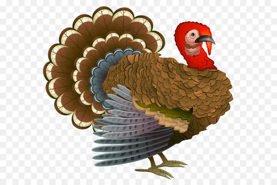 Turki，Thanksgiving PNG