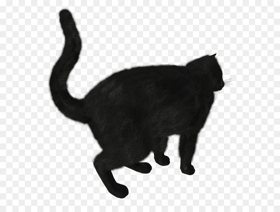 Kucing Hitam，Licik PNG