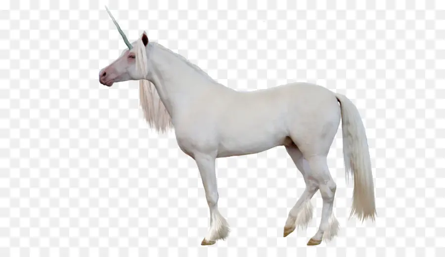 Unicorn，Legendaris Makhluk PNG