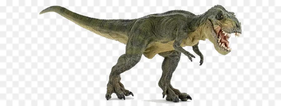 Tyrannosaurus Rex，Prasejarah PNG