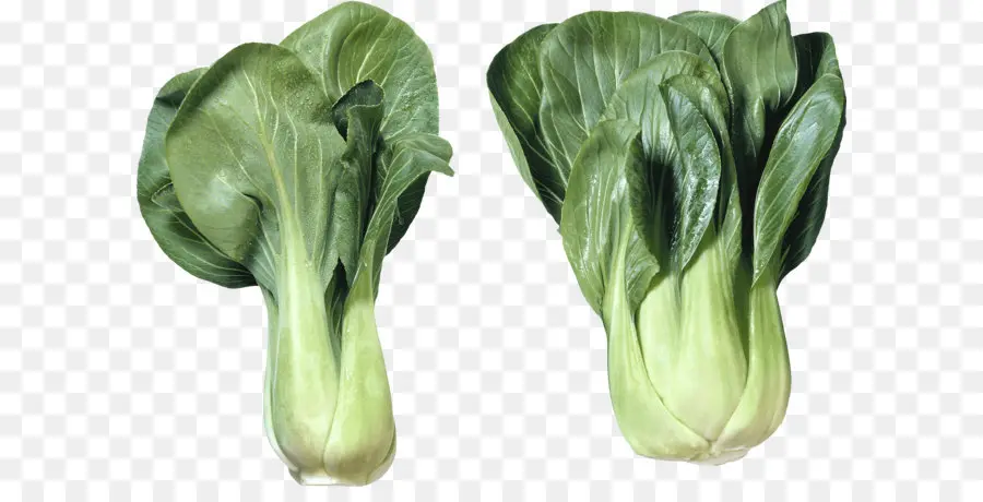 Bok Choy，Sayuran Hijau PNG