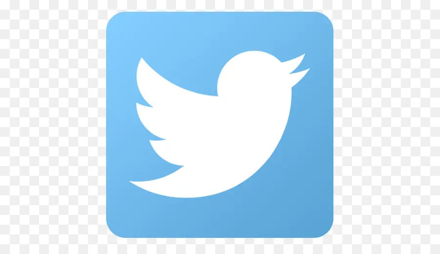 Logo Twitter，Media Sosial PNG