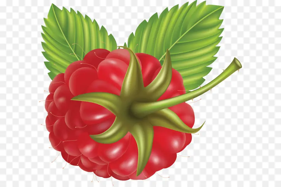 Jus，Berry PNG