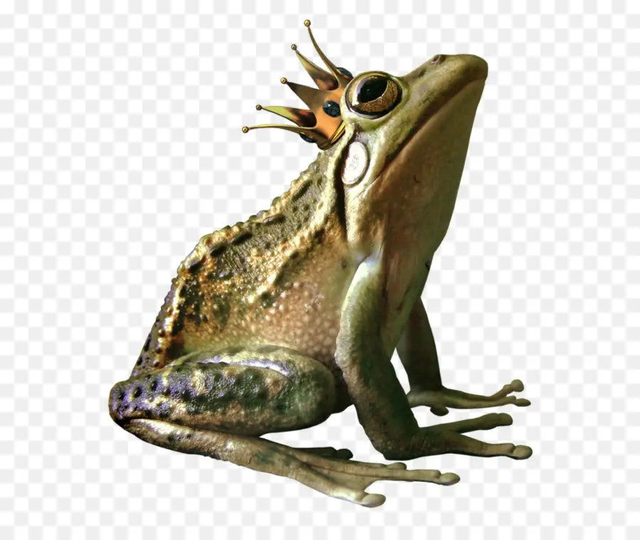 Katak Dengan Mahkota，Katak PNG