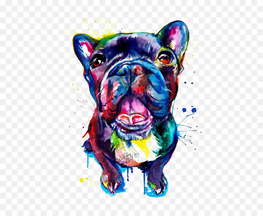 Perancis Bulldog，Bulldog PNG
