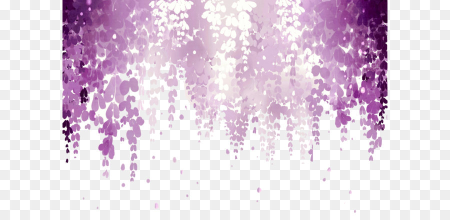 Desktop Wallpaper Wisteria Bunga Gambar Png