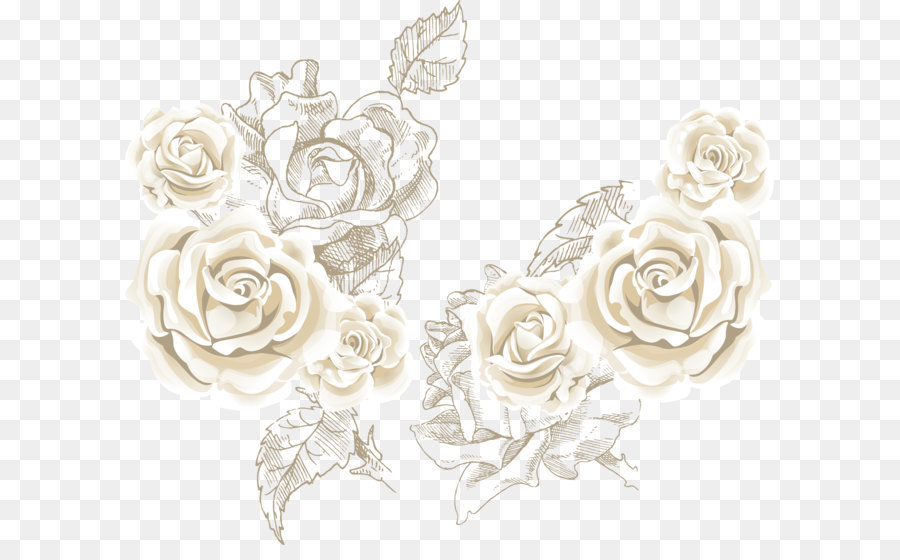 Gambar Bunga Mawar Latar Putih - Contoh Gambar Latar