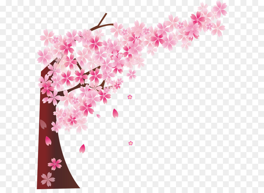 Nasional Cherry Blossom Festival，Cherry Blossom PNG