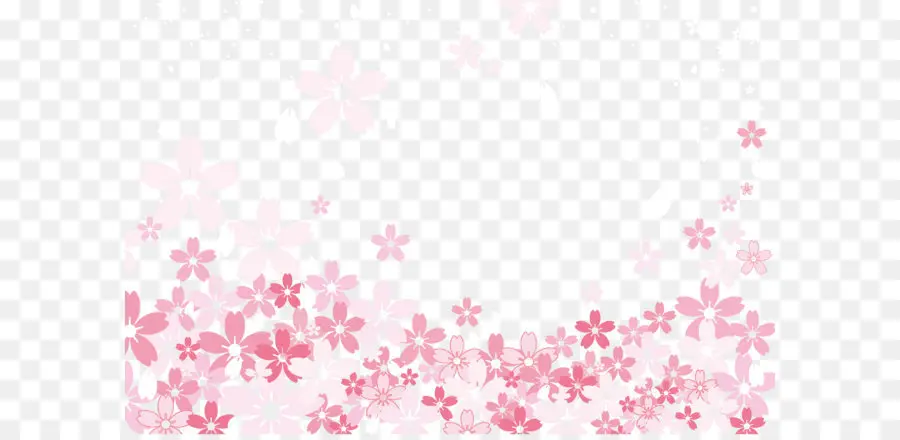 Cherry Blossom，Desktop Wallpaper PNG