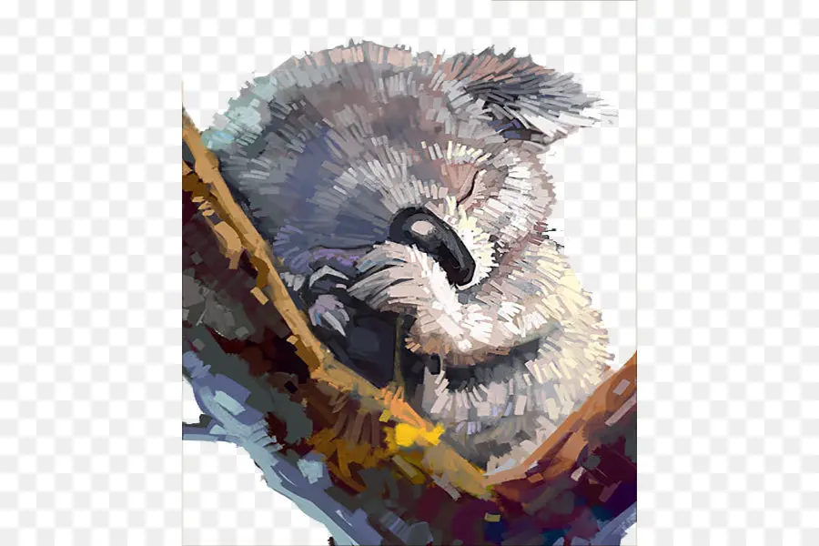 Koala，Cat Air Lukisan PNG