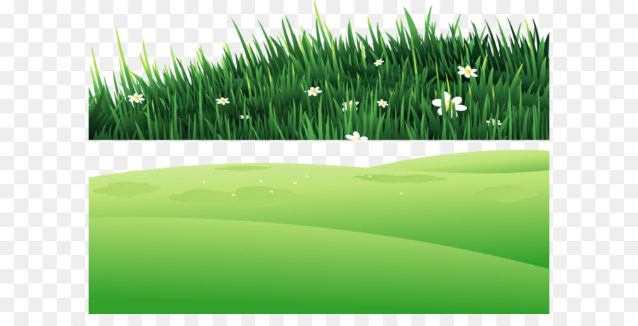 Rumput, Taman, Animasi gambar png