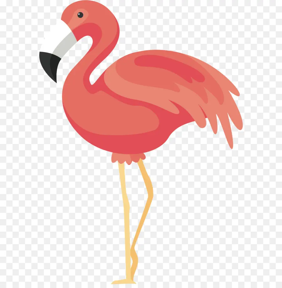 Flamingo，Stiker PNG