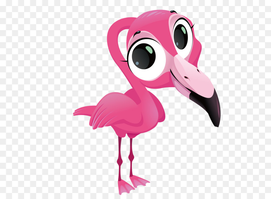 76+ Gambar Burung Flamingo Kartun HD