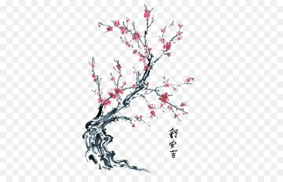 Cina，Cherry Blossom PNG