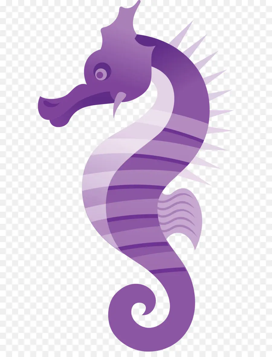 Laut，Aquatic Hewan PNG