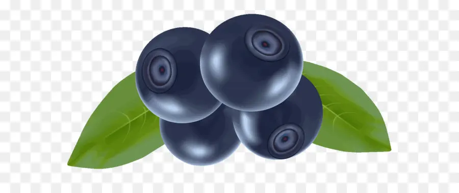 Blueberry，Buah Beri PNG