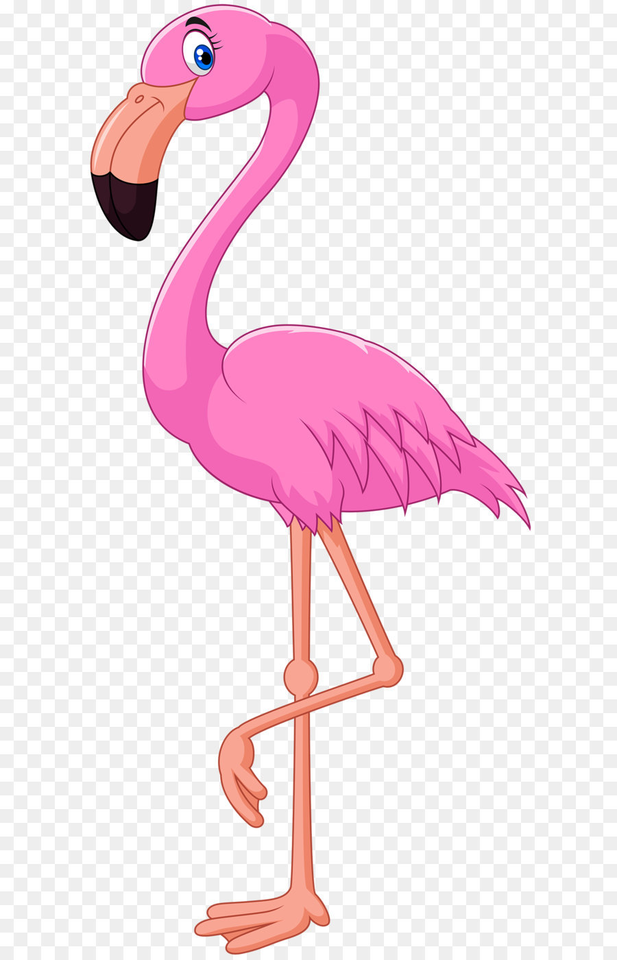 10 Gambar  Burung Flamingo  Kartun  Gani Gambar 