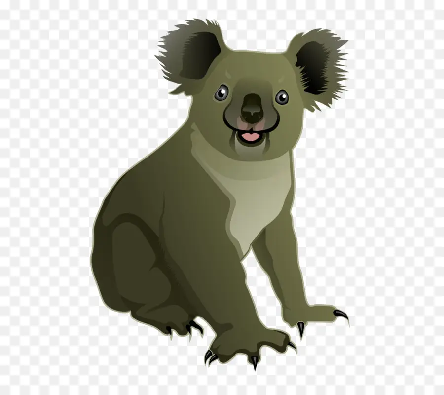 Koala，Billabong Kebun Binatang PNG