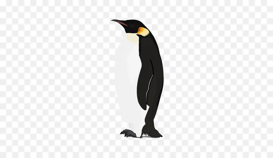 Penguin，Paus PNG