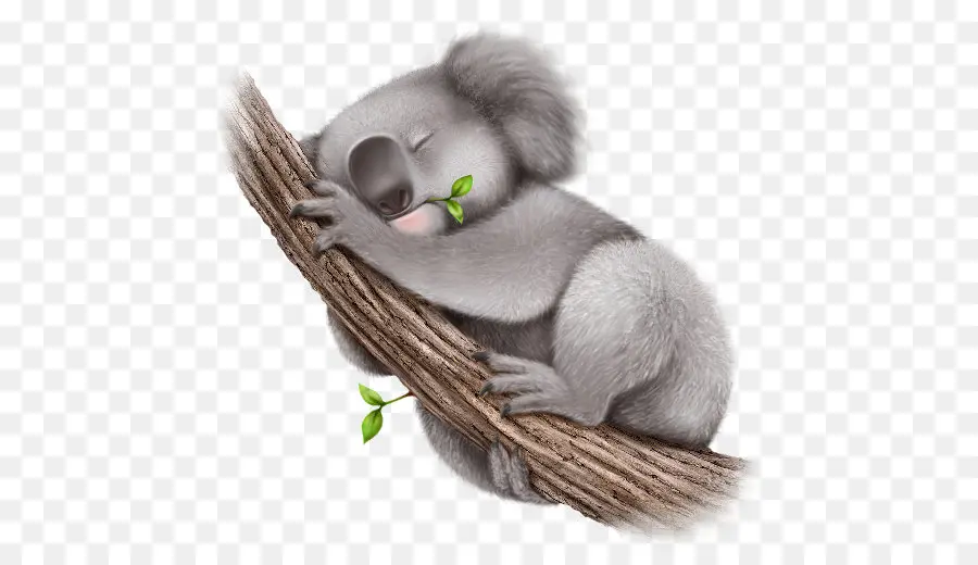 Koala，Kelucuan PNG