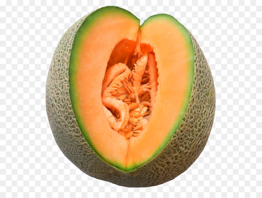 Melon Galia Melon Alambic Melon gambar  png