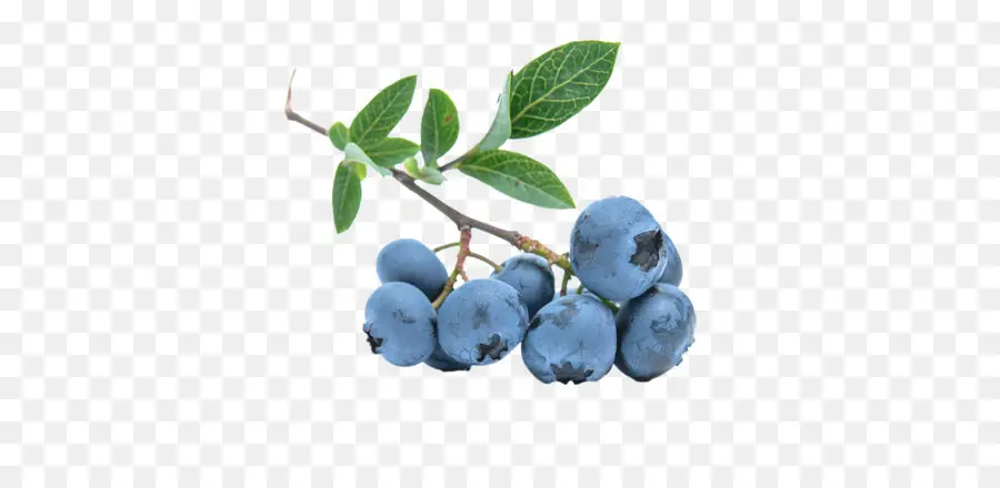 Blueberry，Cabang PNG