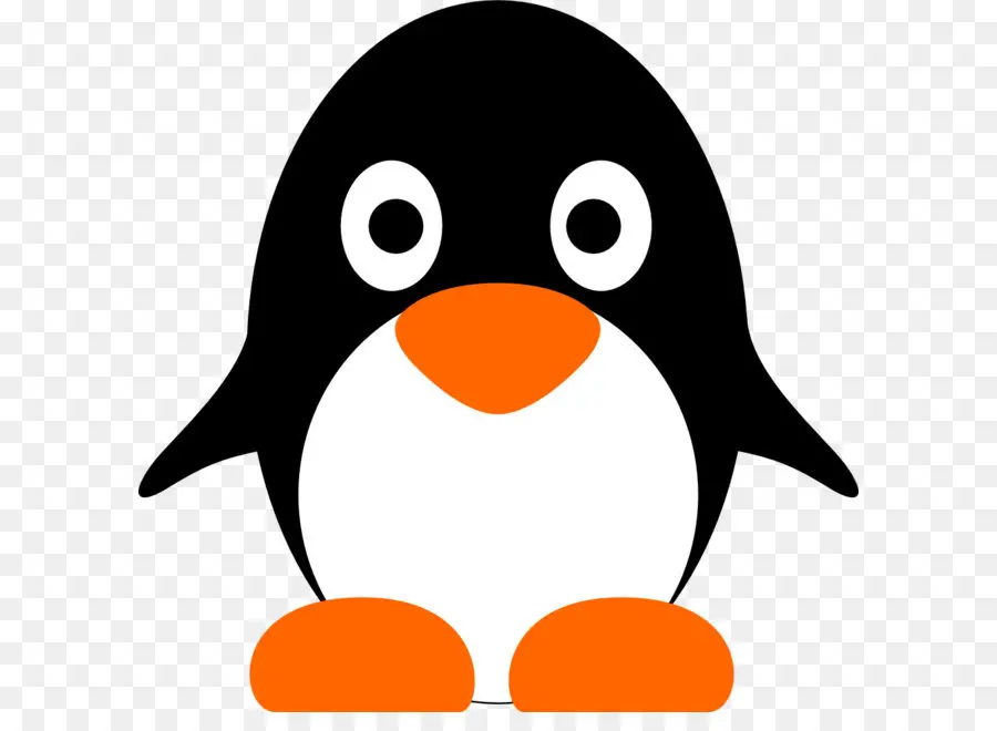 Penguin，Hitam Dan Putih PNG