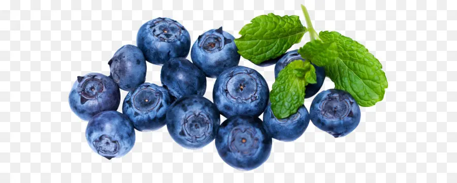 Blueberry，Berry PNG