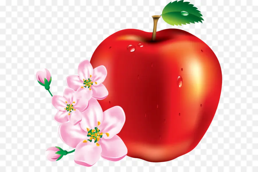 Apple，Men Download PNG