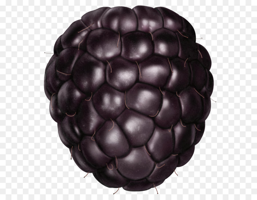 Blackberry，Buah Beri PNG