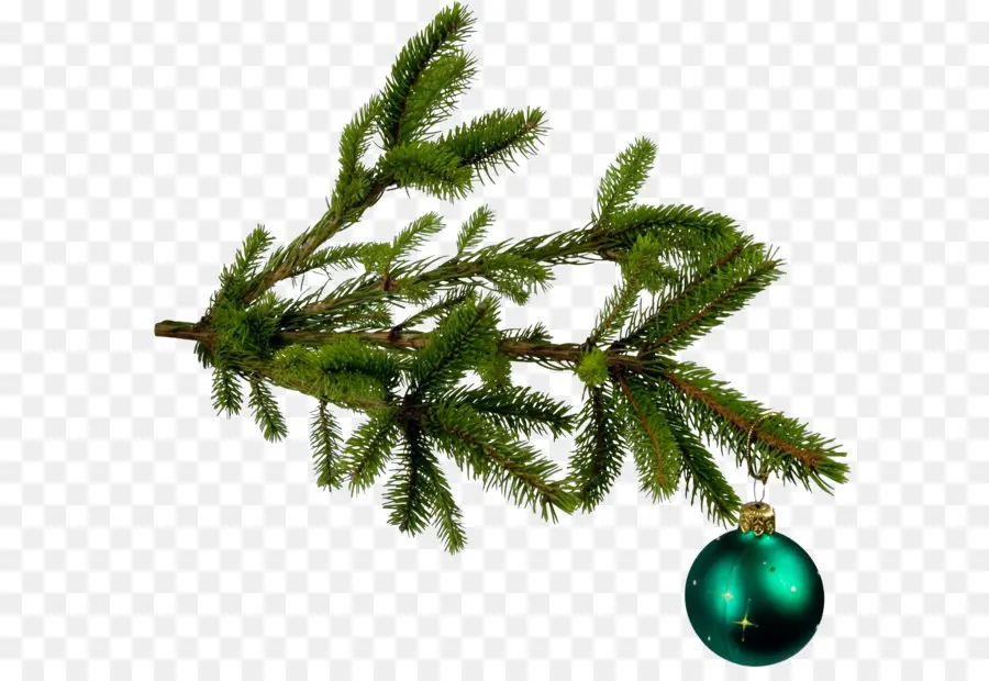 Natal，Pohon Natal PNG