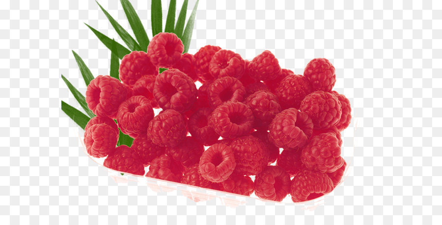 Raspberry，Buah Beri PNG