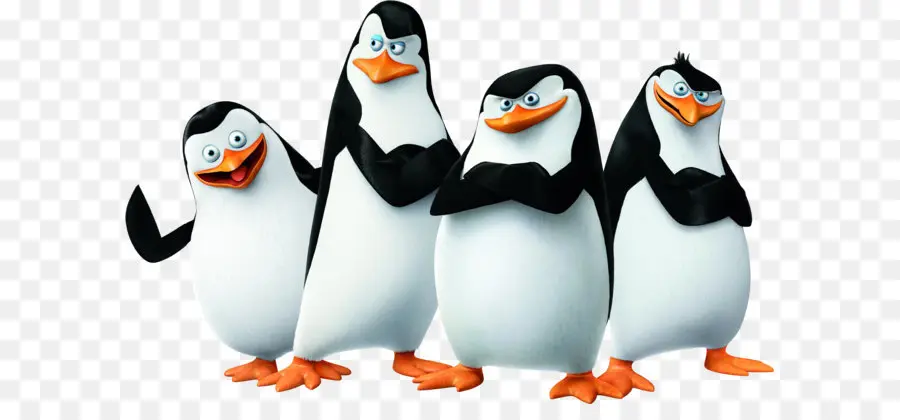 Penguin，Kartun PNG