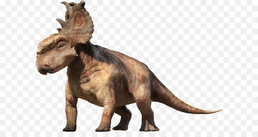 Triceratop，Prasejarah PNG