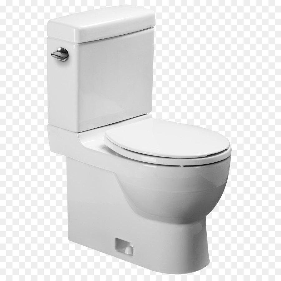 Bideh Toilet Flush Toilet Gambar Png