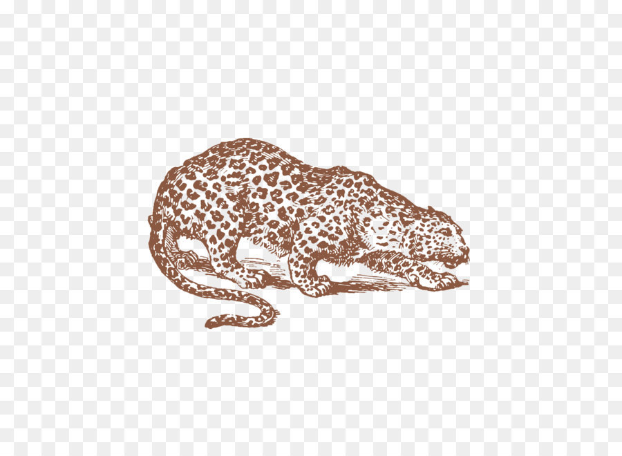 Macan Tutul，Liar PNG