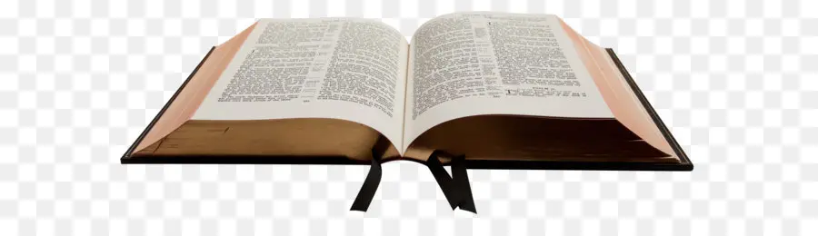 Alkitab，Baru Perjanjian PNG