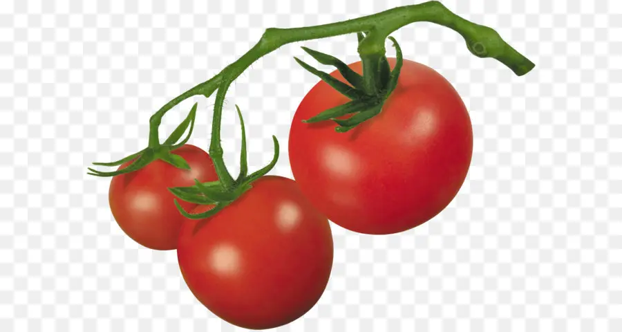 Cherry Tomat，Sayuran PNG
