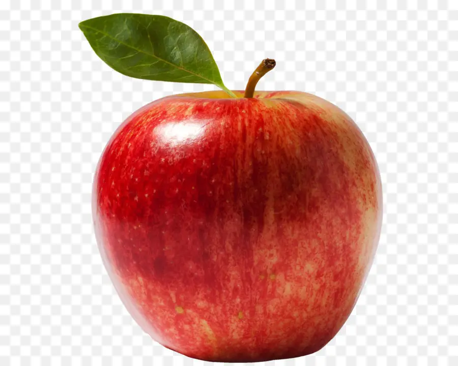 Ipod Touch，Apple PNG
