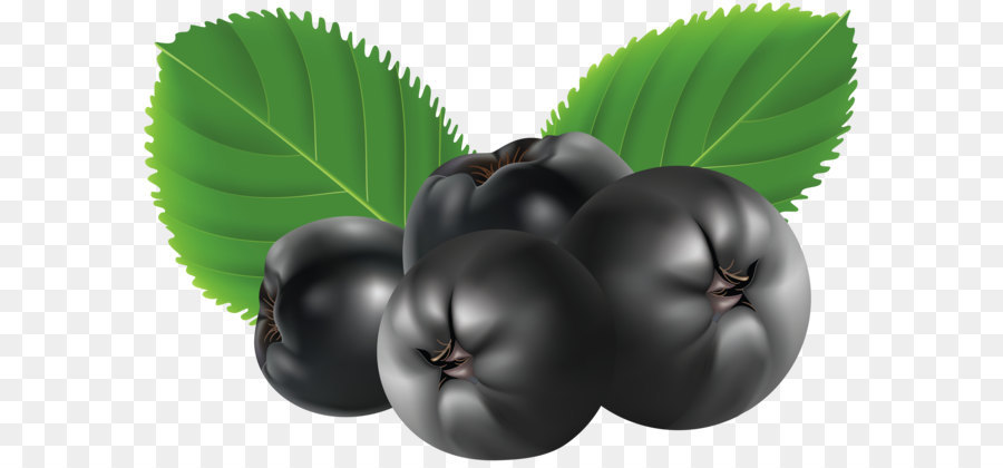 Buah Beri，Daun Daun PNG