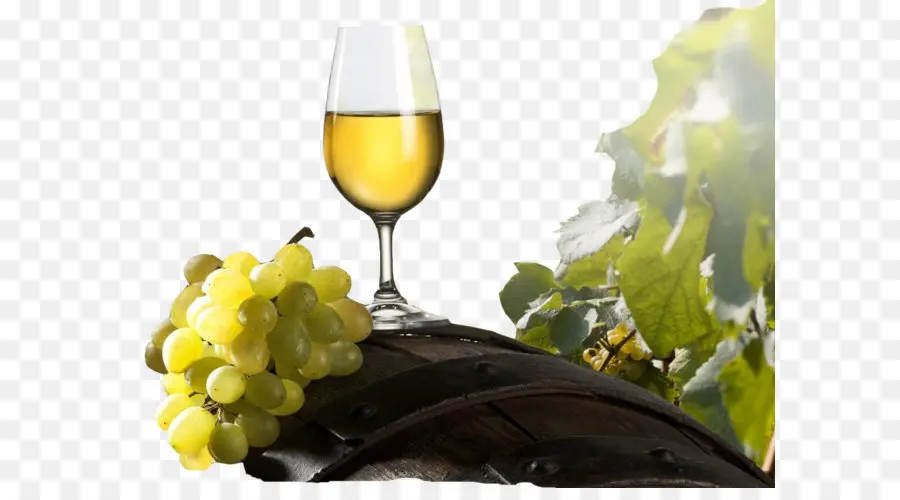 Putih Anggur，Merah Anggur PNG