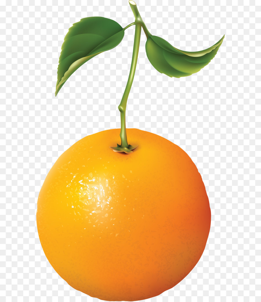 Orange Jus，Pahit Orange PNG